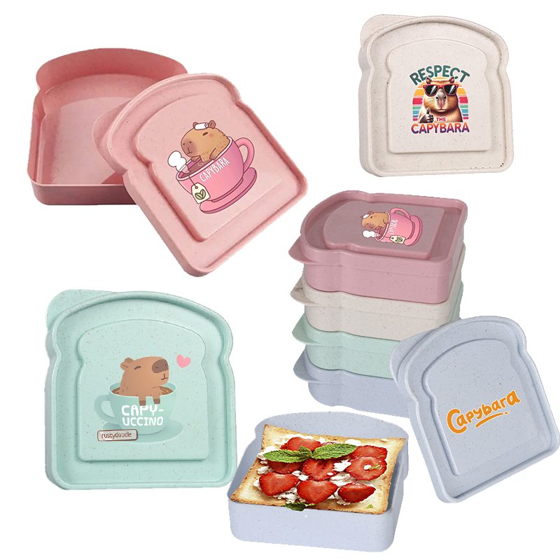 Food Storage Plastic Boxes - Capybara Sandwich Food Storage Case Container