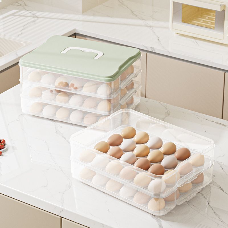 Food Storage Usa - Egg storage box refrigerator specific food