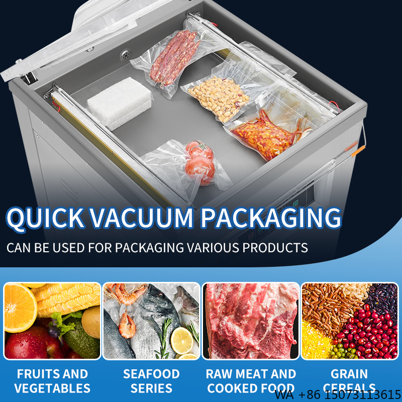 Vacuum Sealer Bag - DZ-500 Vertical Single Chamber Food Vacuum
